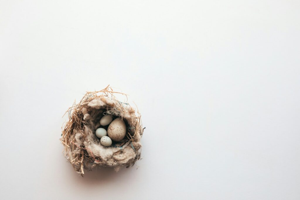 a bird's nest with three eggs in it